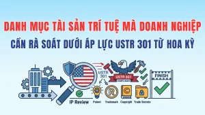 Danh Mục Tài Sản Trí Tuệ Mà Doanh Nghiệp Cần Rà Soát Dưới Áp Lực USTR 301 Từ Hoa Kỳ
