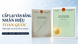 Cấp lại văn bằng nhãn hiệu toàn quốc