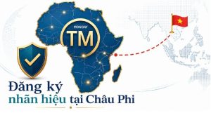 Dịch vụ đăng ký nhãn hiệu tại Châu Phi