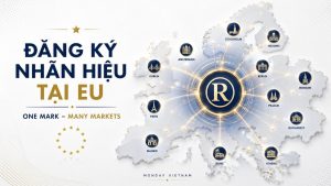 Dịch Vụ Đăng Ký Nhãn Hiệu Tại EU Cho Doanh Nghiệp Việt Nam