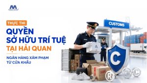 Thực Thi Quyền Sở Hữu Trí Tuệ Tại Hải Quan