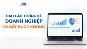 Báo Cáo Thống Kê Doanh Nghiệp Có Bắt Buộc Không Và Báo Cáo Khi Nào?