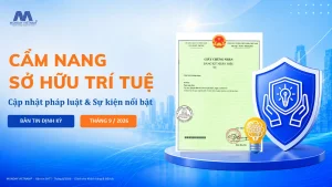Cẩm Nang Sở Hữu Trí Tuệ Tháng 9/2026