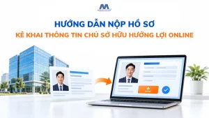 Hướng Dẫn Nộp Hồ Sơ Kê Khai Thông Tin Chủ Sở Hữu Hưởng Lợi Online