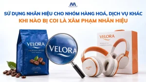 Sử Dụng Nhãn Hiệu Cho Hàng Hoá, Dịch Vụ Khác Nhóm: Khi Nào Được Xem Xâm Phạm?