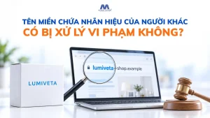 Tên Miền Chứa Nhãn Hiệu Của Người Khác Có Bị Xử Lý Vi Phạm Không?